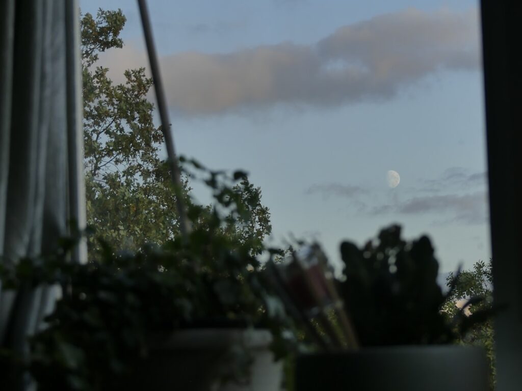 Gardening by the Moon: Does It Really Work?