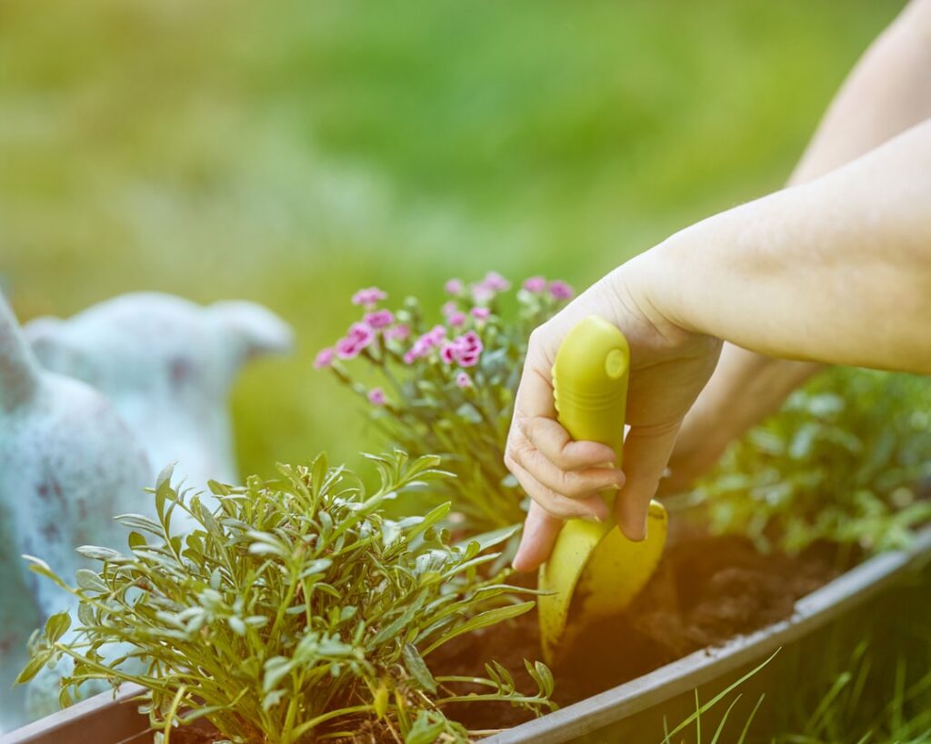 Gardening Trowel: Types and How to Choose