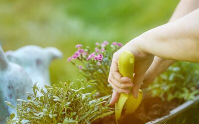 Gardening Trowel: Types and How to Choose
