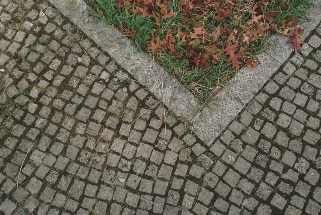 Grass Pavers: Permeable Driveway and Parking Guide