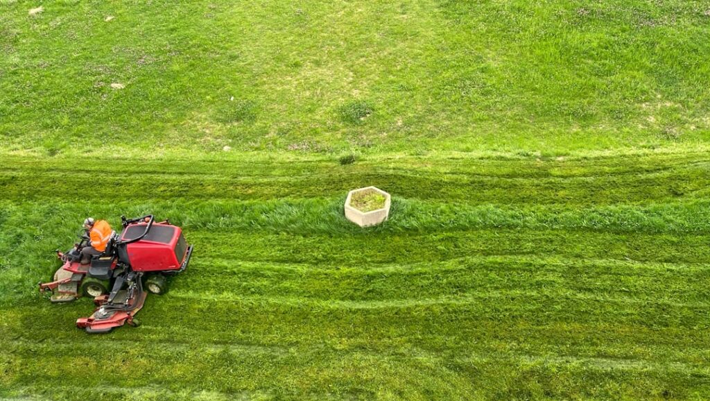 Grass Sweeper: How It Works & Buying Guide