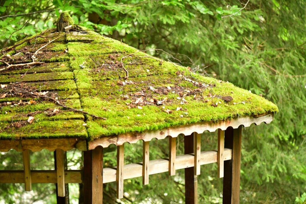 Green Roofing: Living Roof Systems Explained