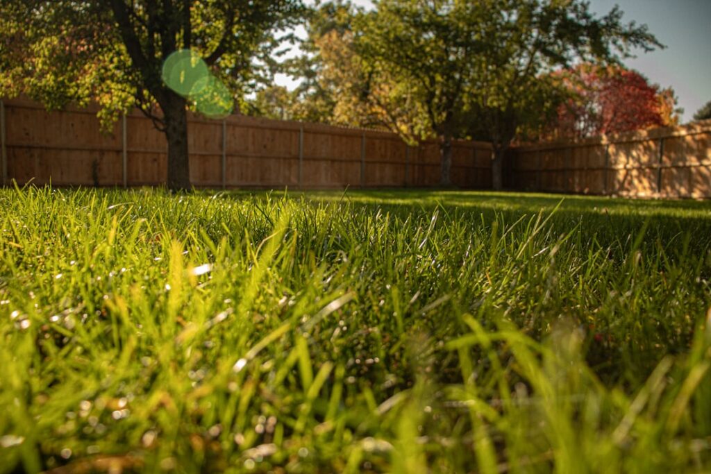 Grub Treatment for Yard: Timing and Products