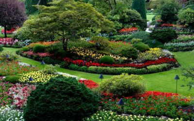 How Much Does Landscaping Cost? 2026 Guide