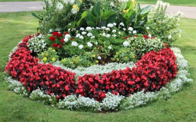 How to Get Rid of Grass in Flower Beds