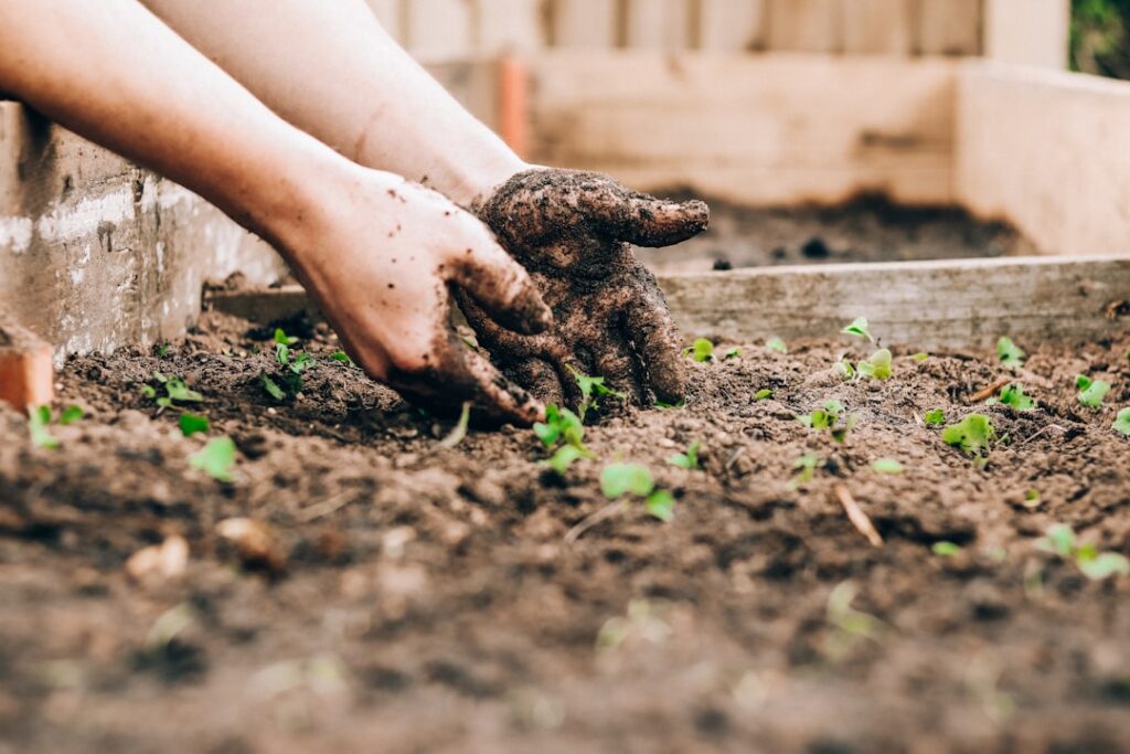 How to Start a Garden From Scratch (Beginner Guide)