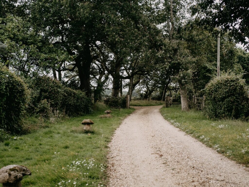 Inexpensive Gravel Driveway Edging Ideas