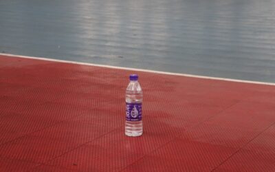 Interlocking Plastic Floor Tiles: Homeowner's Guide