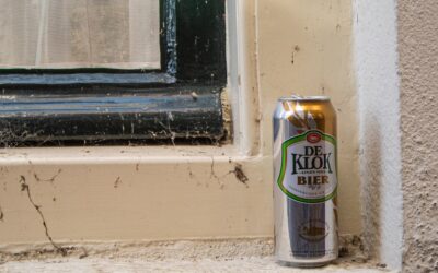 KILZ Mold and Mildew Primer: Honest Review and Uses