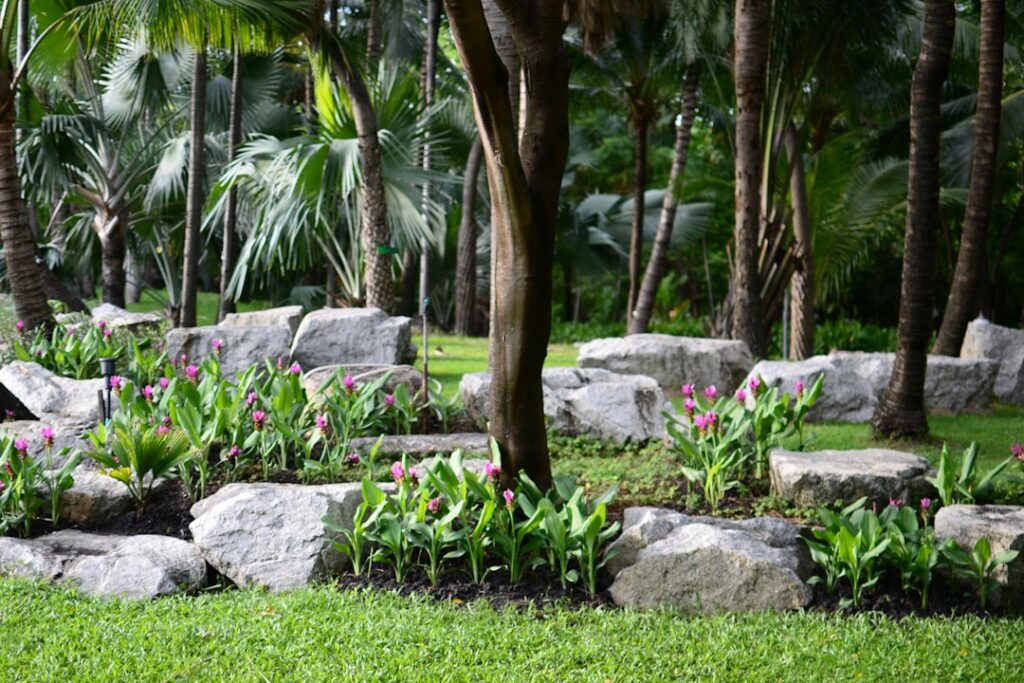 Landscaping Around Trees With Rocks: Ideas