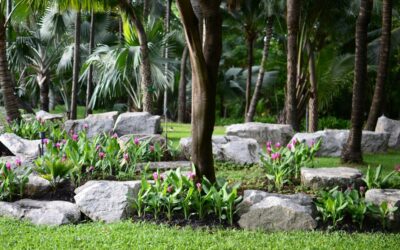 Landscaping Around Trees With Rocks: Ideas