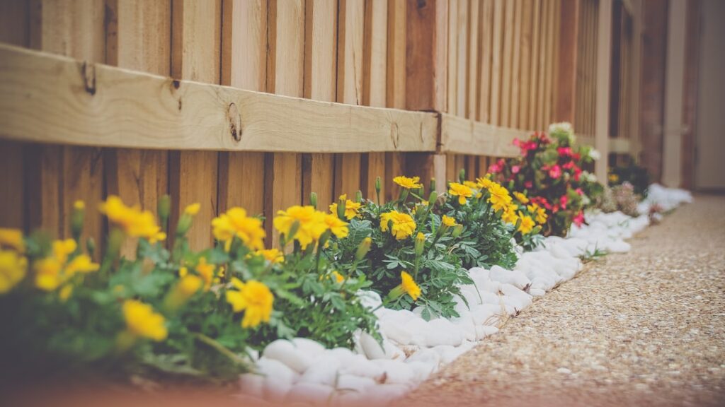 Landscaping Border Ideas and How to Install