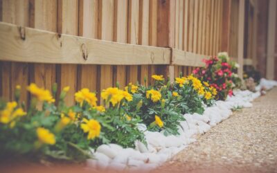Landscaping Border Ideas and How to Install