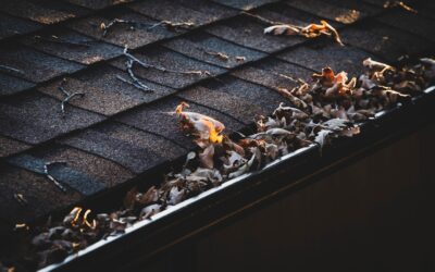 Leaf Filter Gutters: LeafFilter System Review