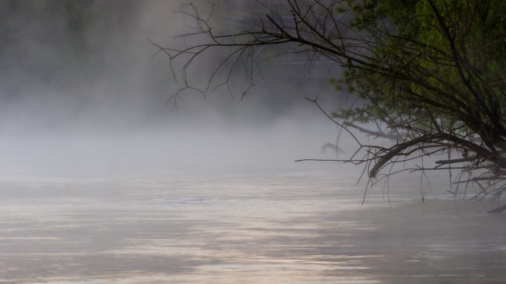 Light Mist Hardie Board: Color Guide and Pairings