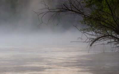 Light Mist Hardie Board: Color Guide and Pairings