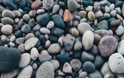 Low-Maintenance River Rock Landscaping Ideas