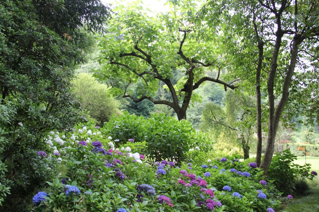 Perennial Garden: Design and Planting Guide