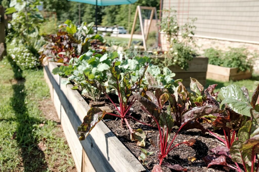 Raised Planter Box Plans: DIY Build Guide