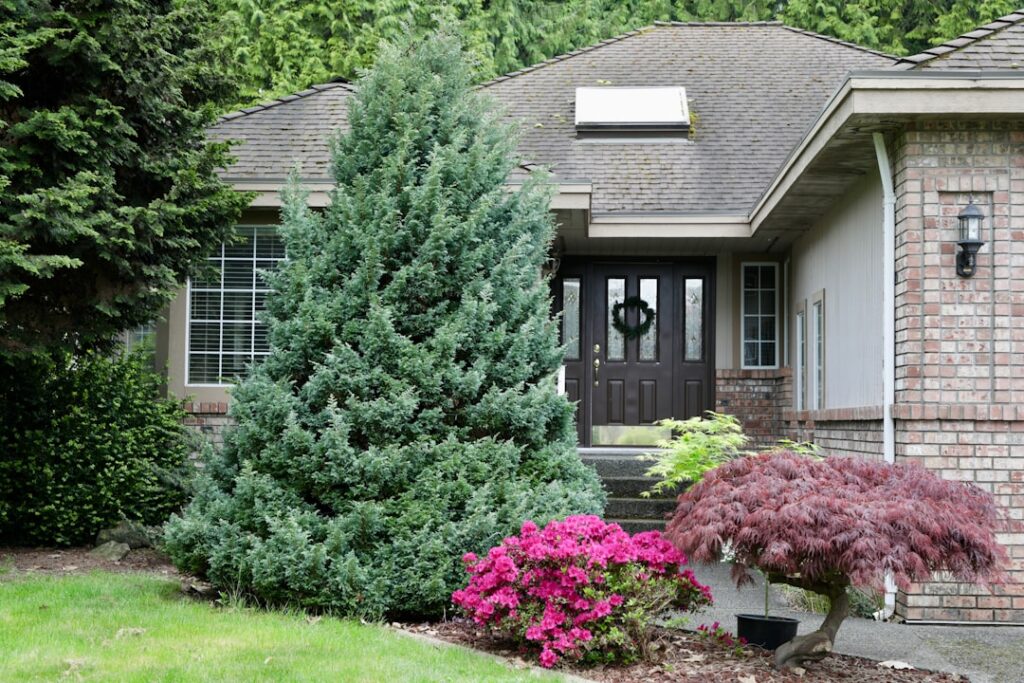 Shrubs for Front of House: Best Picks by Height