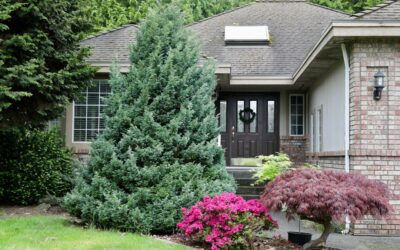 Shrubs for Front of House: Best Picks by Height