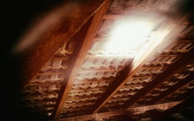 Skylight Roof Window: Types and Placement