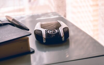 Ultrasonic Pest Repellers: Do They Actually Work?