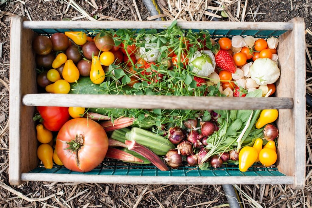 Veggie Garden: Beginner's Planting Guide