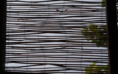 Window Screen Material: Mesh Types Compared