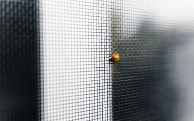 Window Screen Repair Kit: What to Look For