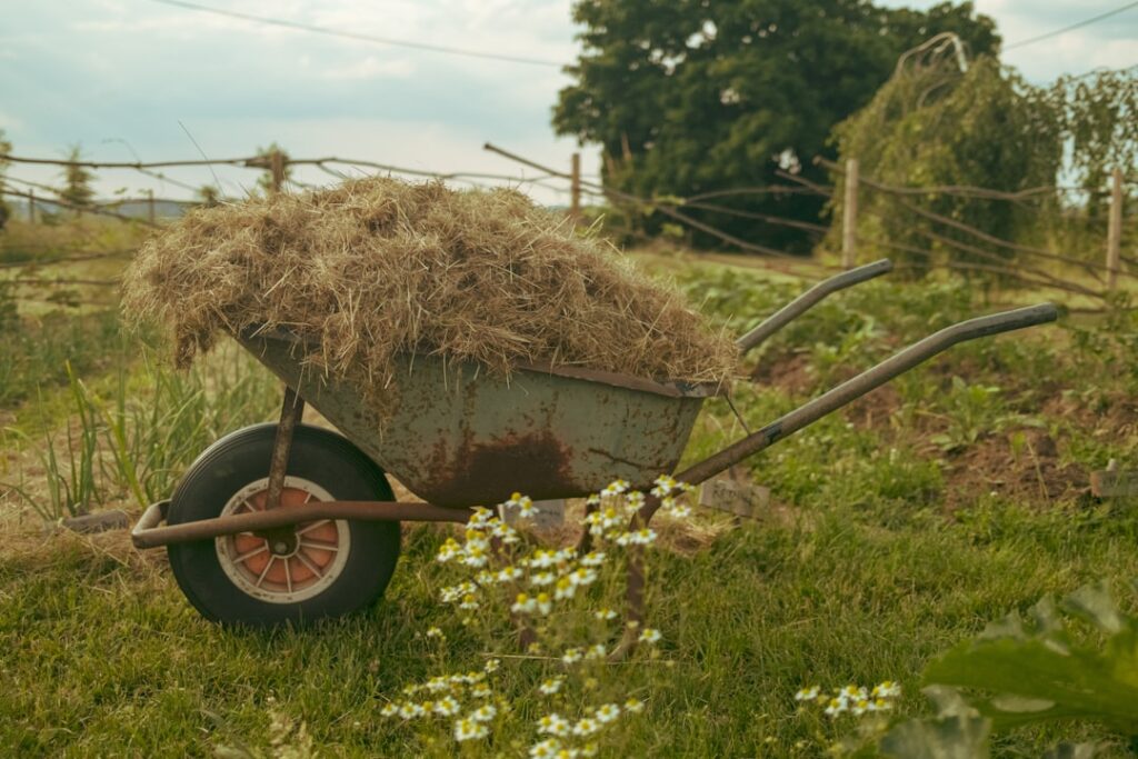 Yard Cart: Types and Top Picks