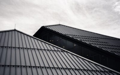 Zinc Strips for Roof: Do They Stop Moss?