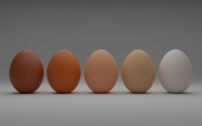 Difference Between Eggshell and Satin Paint