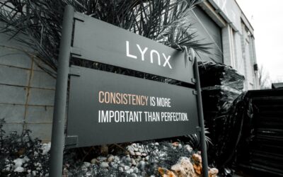 DMX Underlayment: A Complete Guide for Homeowners