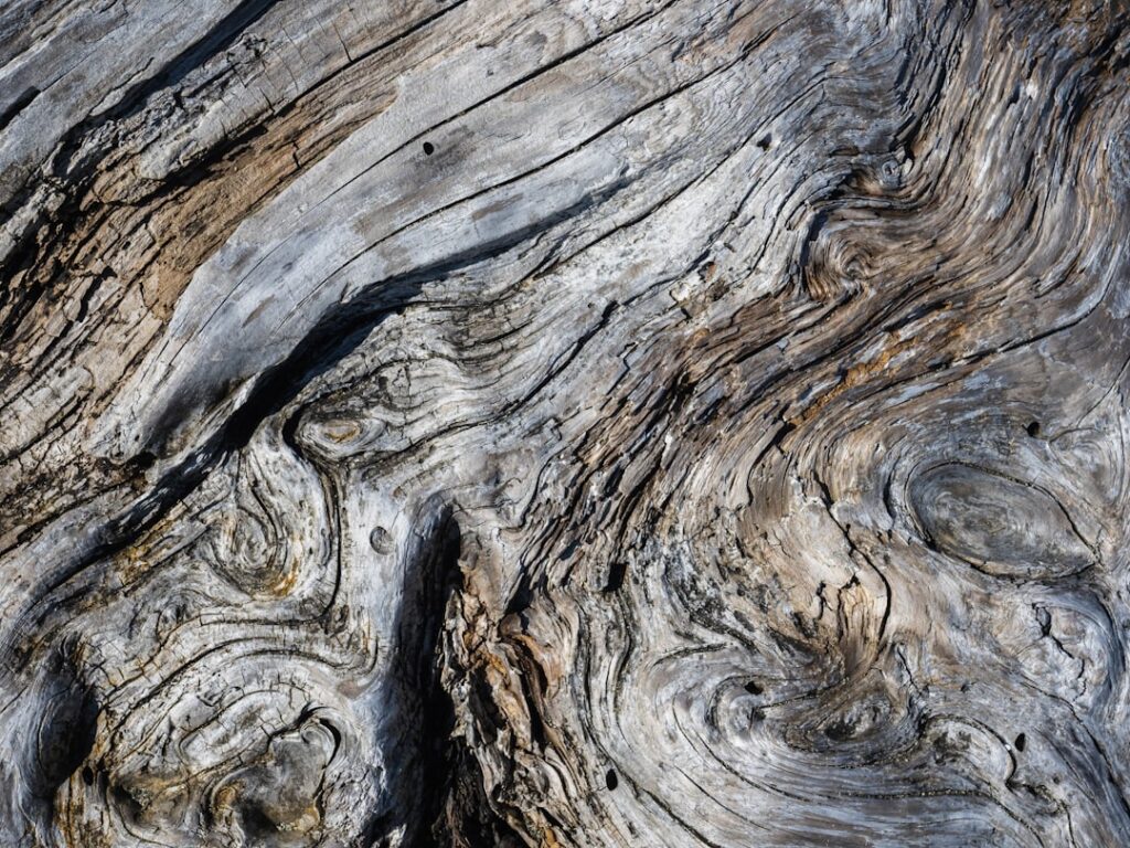 Driftwood Tile: Complete Guide for Homeowners