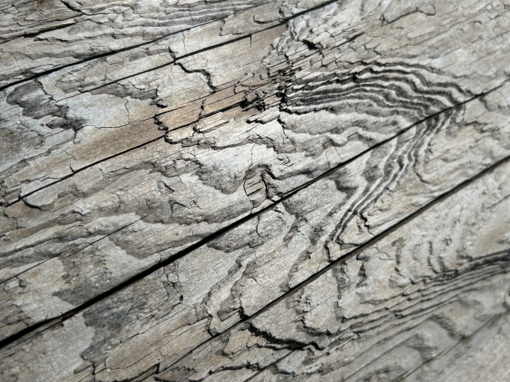 Driftwood Vinyl Plank Flooring: Color, Cost, and Buying Guide