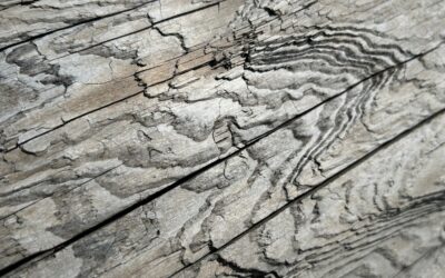 Driftwood Vinyl Plank Flooring: Color, Cost, and Buying Guide