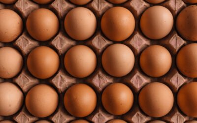 Egg Crate Ceiling Tile: Complete Guide for Homeowners