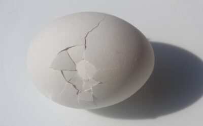 Eggshell Grout Color: A Complete Guide for Homeowners