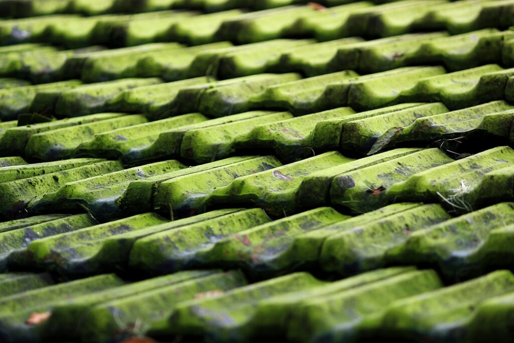 Enviro Tile: Complete Guide for Homeowners