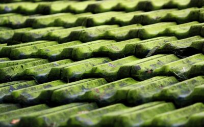 Enviro Tile: Complete Guide for Homeowners