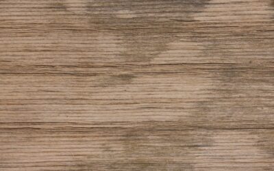 Faux Wood Tile: Complete Guide for Homeowners