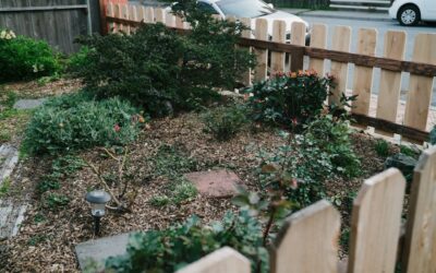 Front Yard Fence Ideas for Privacy That Look Welcoming, Not Walled Off
