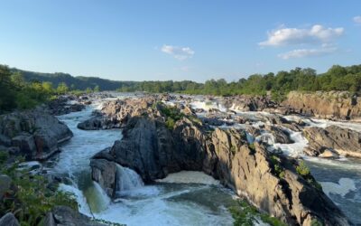 Granite Countertop in Great Falls Va: Complete Guide for Homeowners