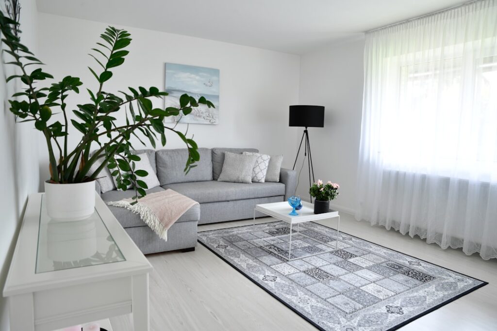 Gray and White Rug: The Complete Buying and Styling Guide