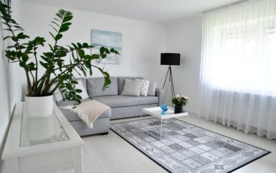 Gray and White Rug: The Complete Buying and Styling Guide