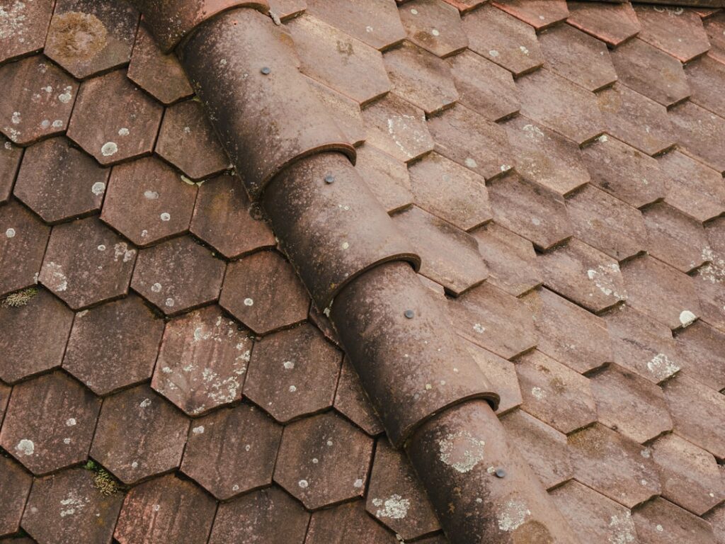 Hexagon Terracotta Tile: A Complete Guide