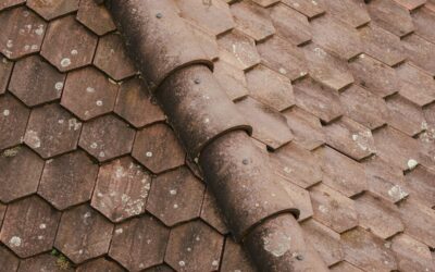 Hexagon Terracotta Tile: A Complete Guide