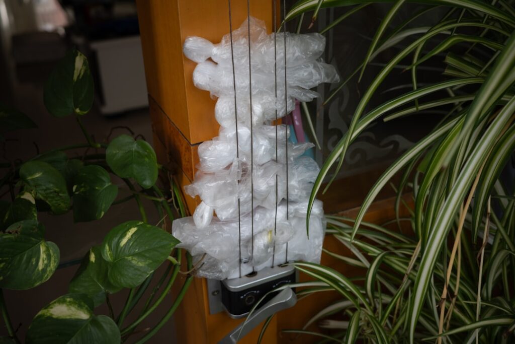 Homemade Indoor Fly Trap: Complete Guide for Homeowners