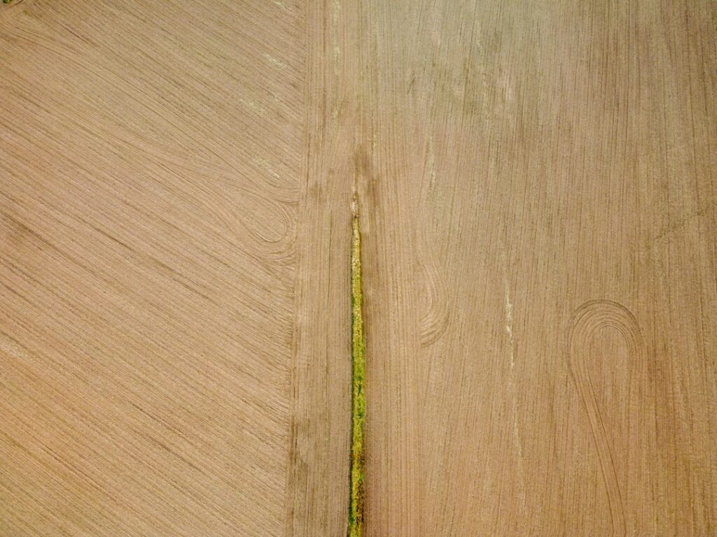 How to Repair Swollen Laminate Flooring Without Replacing: Step-by-Step Guide